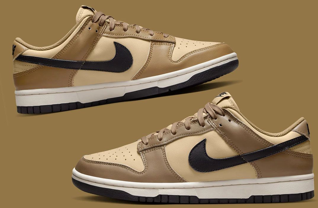 Nike Dunk Low Dark Driftwood (Women)