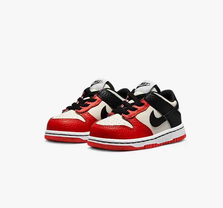 Nike Dunk Low EMB NBA 75th Anniversary Chicago (td)