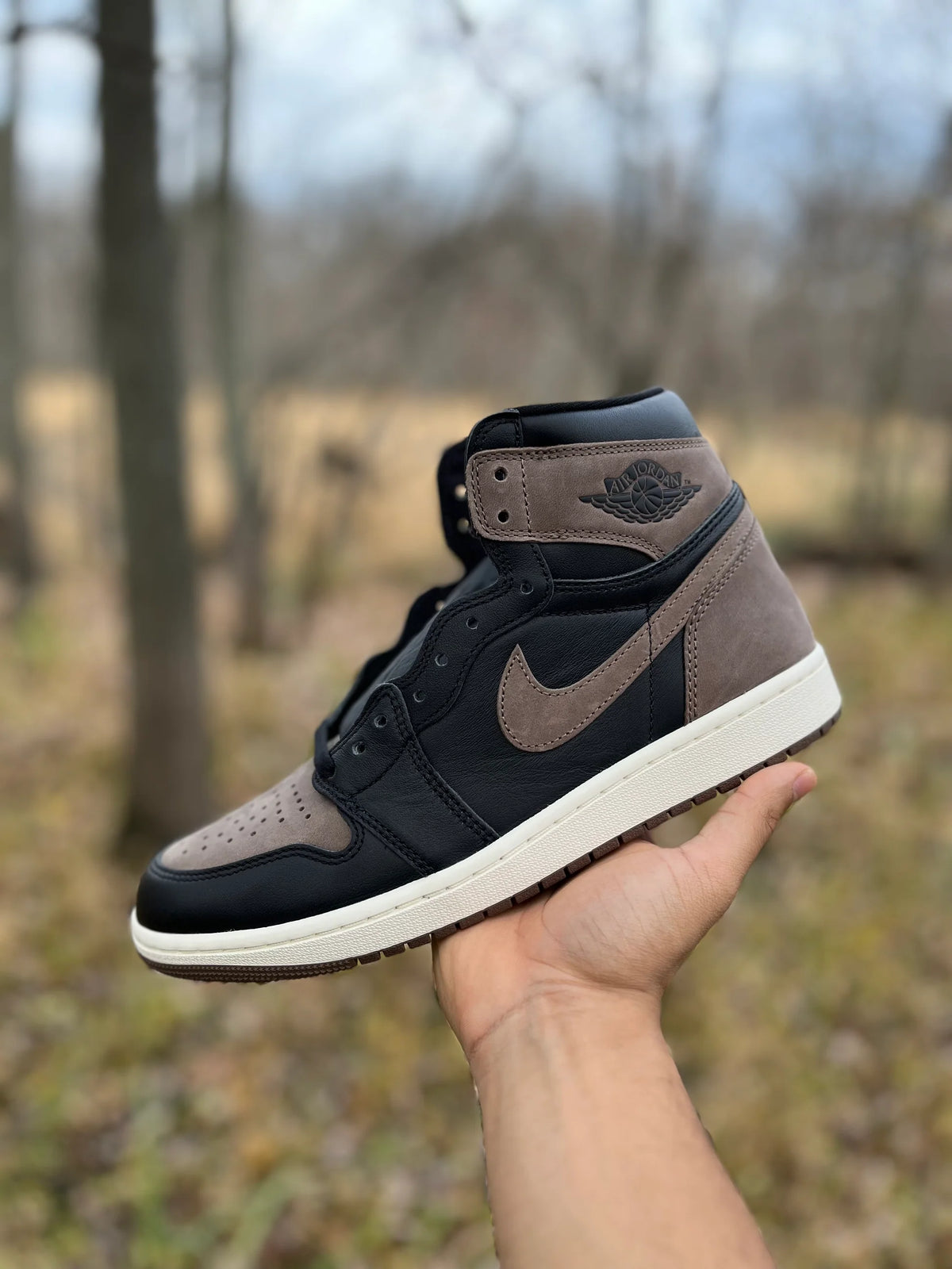 Air Jordan 1 Retro High OG Palomino (Men)