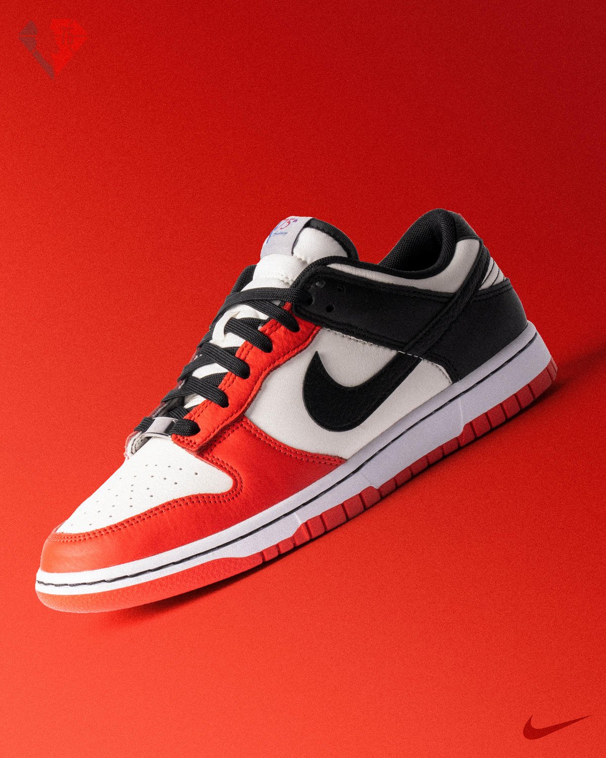 Nike Dunk Low EBM NBA 75th Anniversary Chicago (gs)